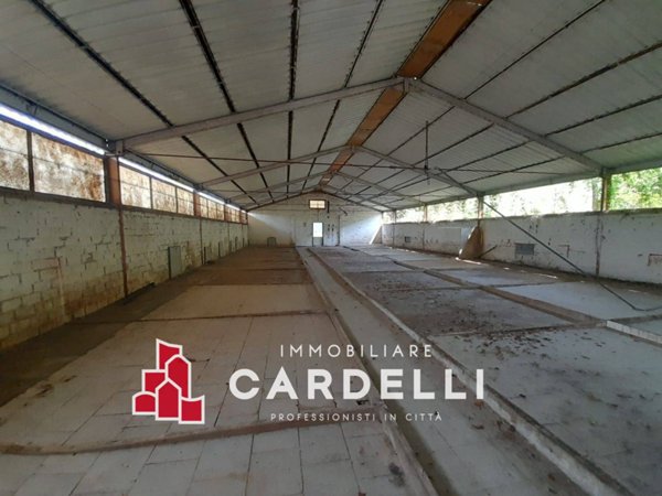 casale in vendita a Sant'Elpidio a Mare