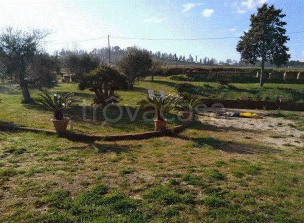 appartamento in vendita a Sant'Elpidio a Mare