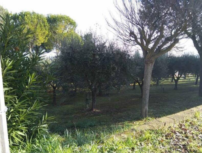 terreno agricolo in vendita a Sant'Elpidio a Mare