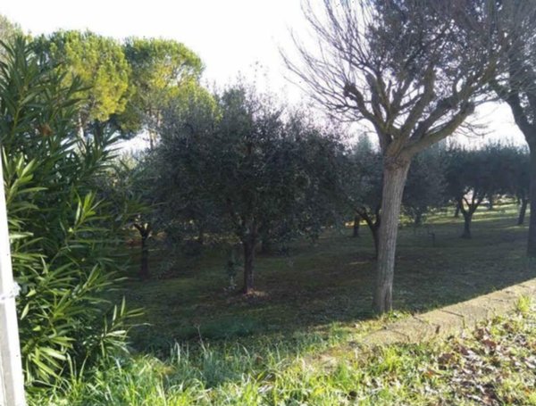 terreno agricolo in vendita a Sant'Elpidio a Mare