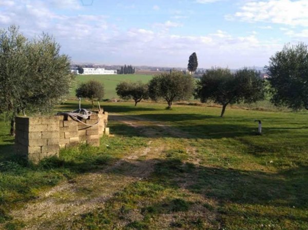 terreno agricolo in vendita a Sant'Elpidio a Mare