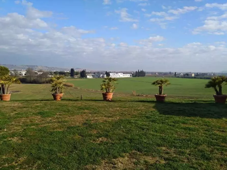terreno agricolo in vendita a Sant'Elpidio a Mare