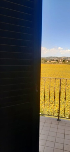 appartamento in vendita a Sant'Elpidio a Mare in zona Bivio Cascinare