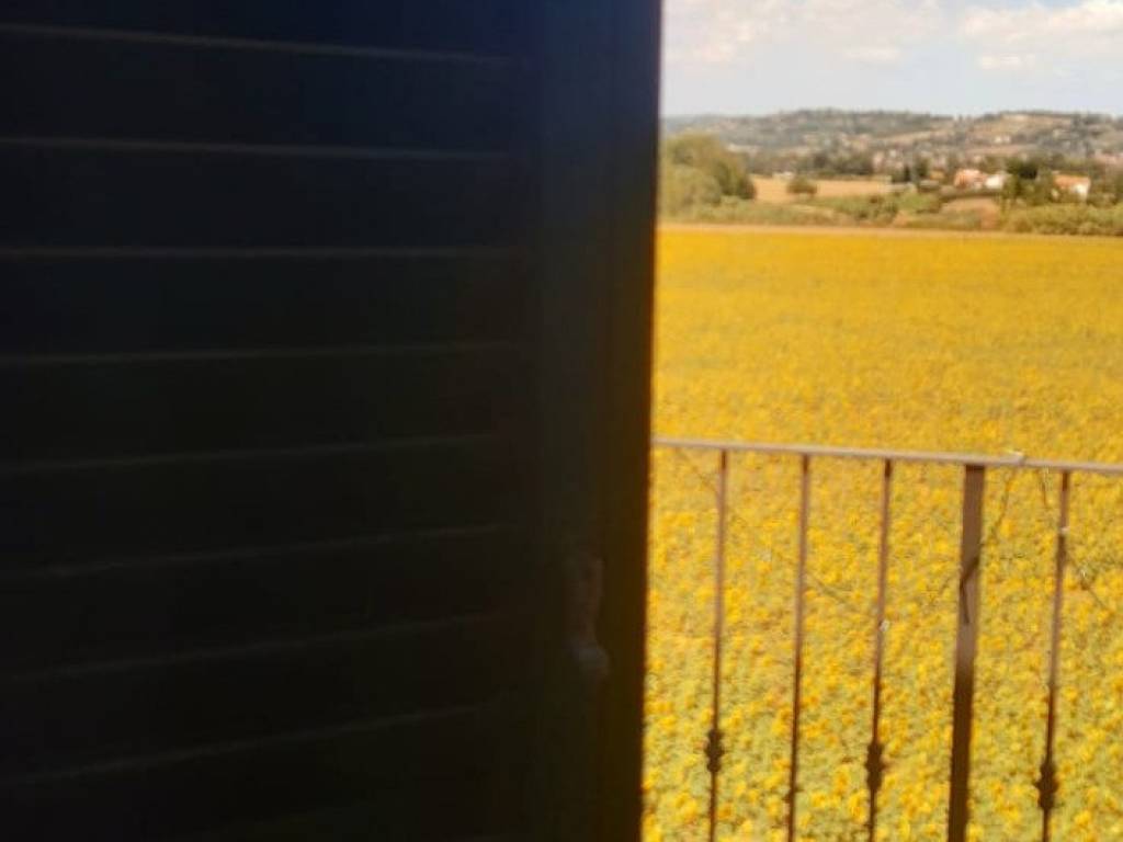 appartamento in vendita a Sant'Elpidio a Mare in zona Bivio Cascinare