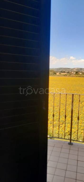 appartamento in vendita a Sant'Elpidio a Mare