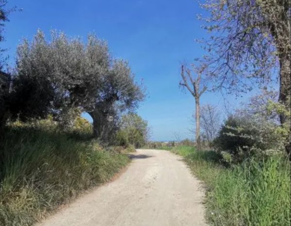 terreno agricolo in vendita a Sant'Elpidio a Mare