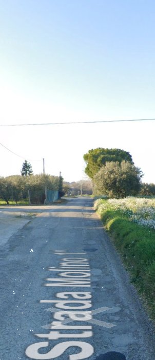 terreno agricolo in vendita a Sant'Elpidio a Mare