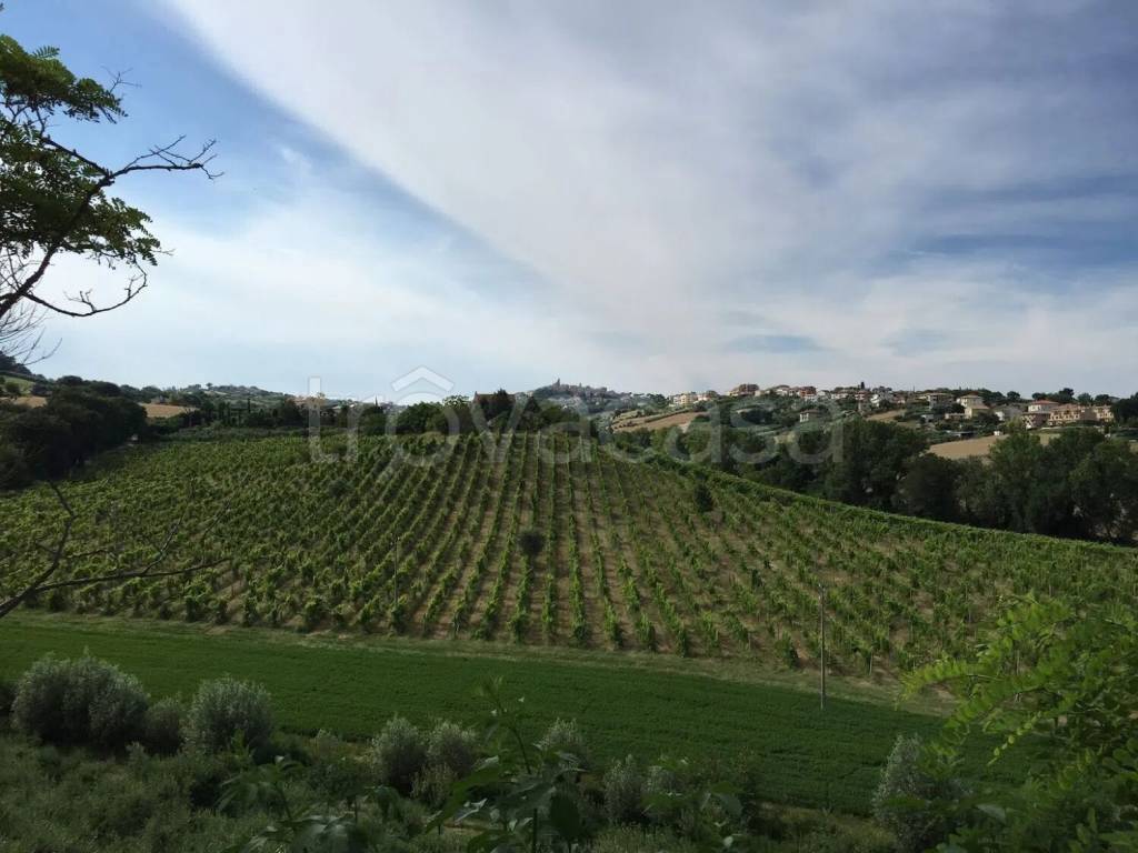 terreno agricolo in vendita a Sant'Elpidio a Mare