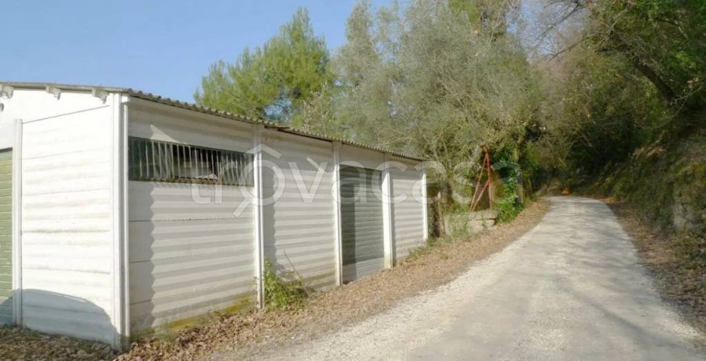 terreno agricolo in vendita a Sant'Elpidio a Mare