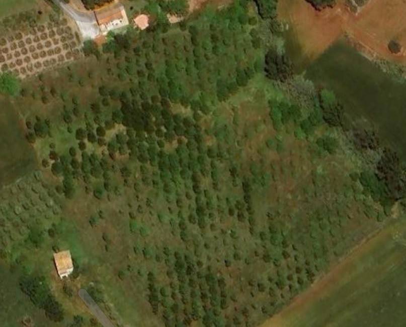 terreno agricolo in vendita a Sant'Elpidio a Mare