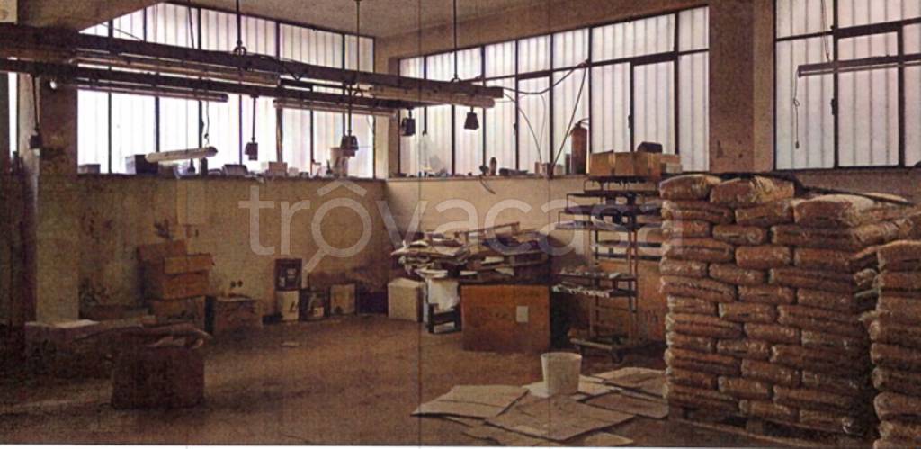 appartamento in vendita a Sant'Elpidio a Mare in zona Casette d'Ete