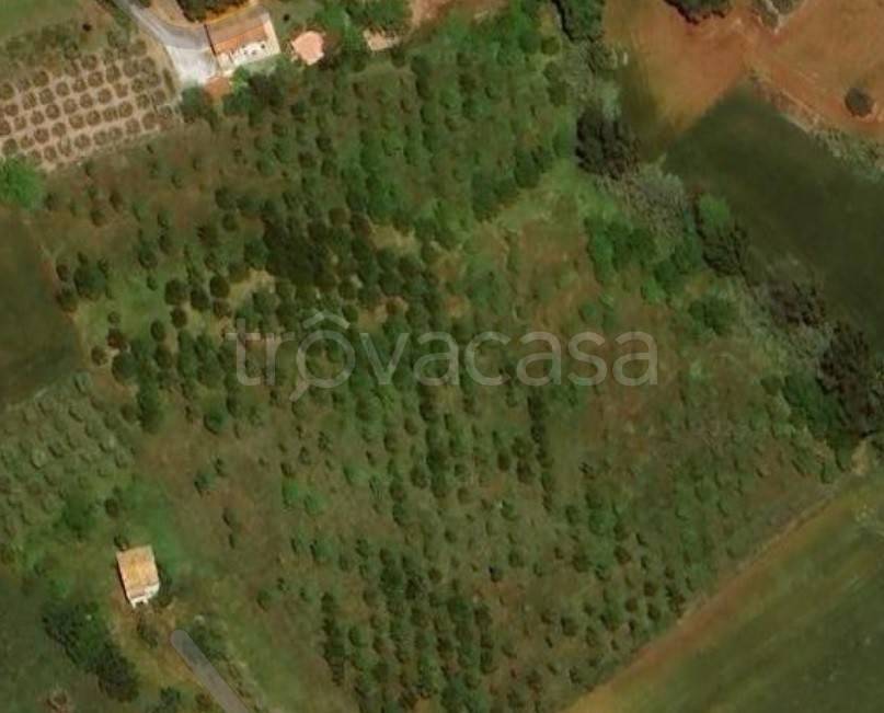 terreno agricolo in vendita a Sant'Elpidio a Mare