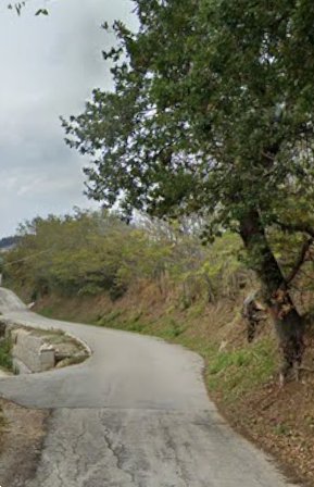 terreno agricolo in vendita a Sant'Elpidio a Mare