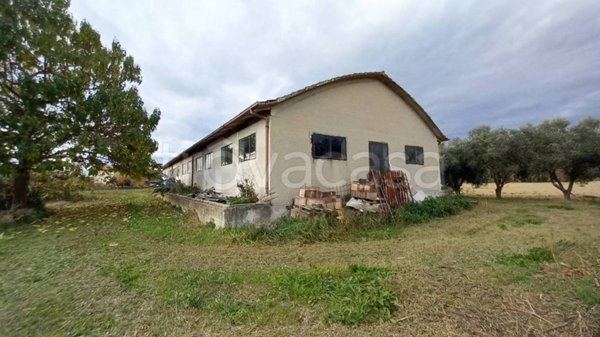 locale commerciale in vendita a Sant'Elpidio a Mare