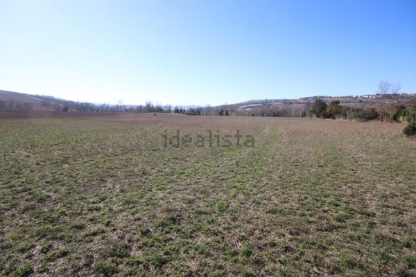terreno agricolo in vendita a Sant'Elpidio a Mare