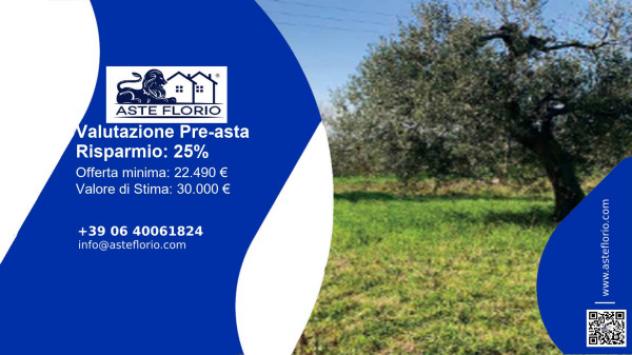 terreno agricolo in vendita a Sant'Elpidio a Mare