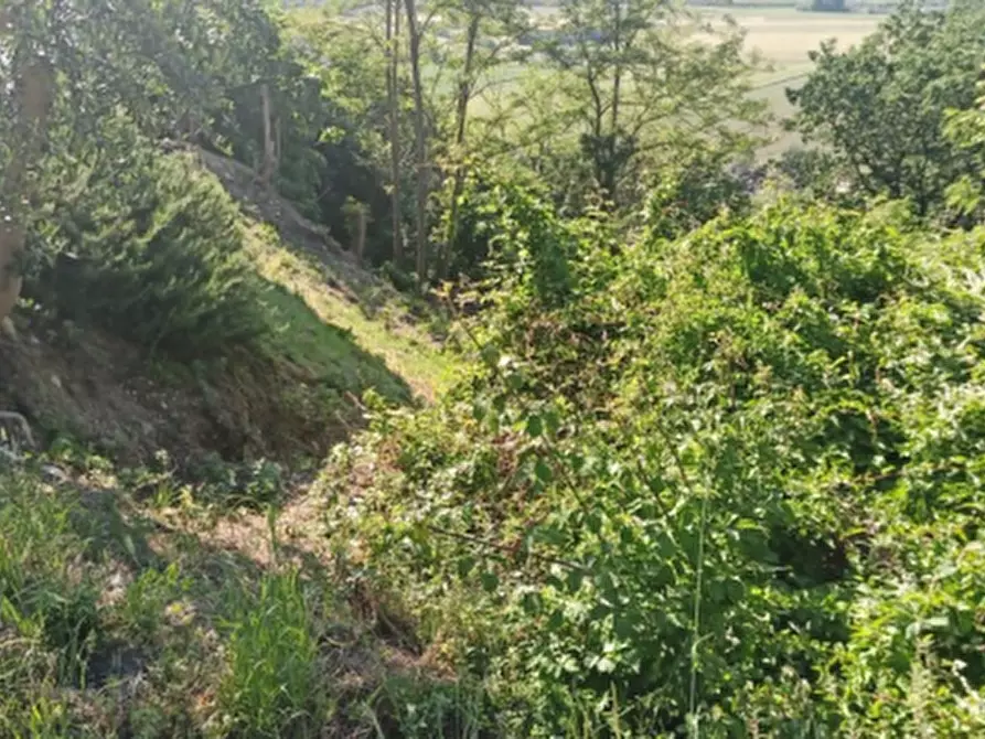 terreno edificabile in vendita a Sant'Elpidio a Mare