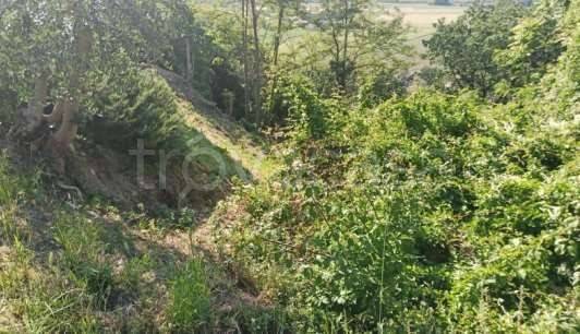 terreno edificabile in vendita a Sant'Elpidio a Mare