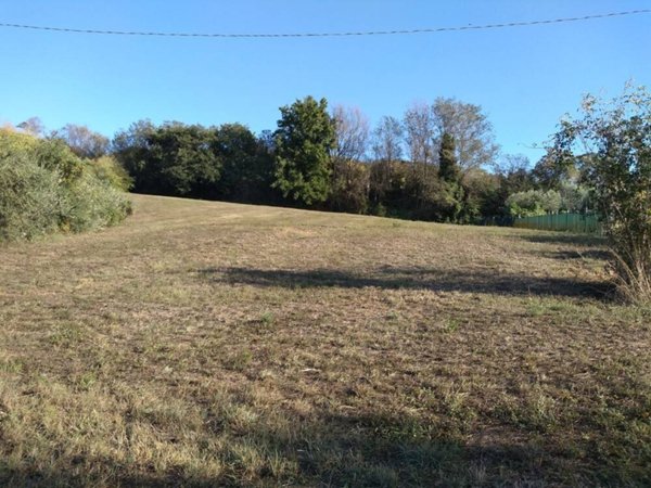 terreno agricolo in vendita a Sant'Elpidio a Mare in zona Casette d'Ete