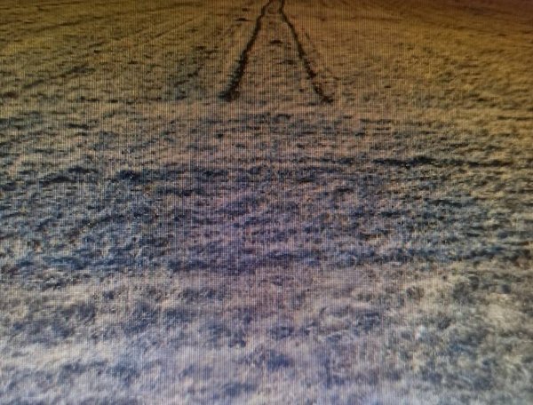 terreno agricolo in vendita a Sant'Elpidio a Mare