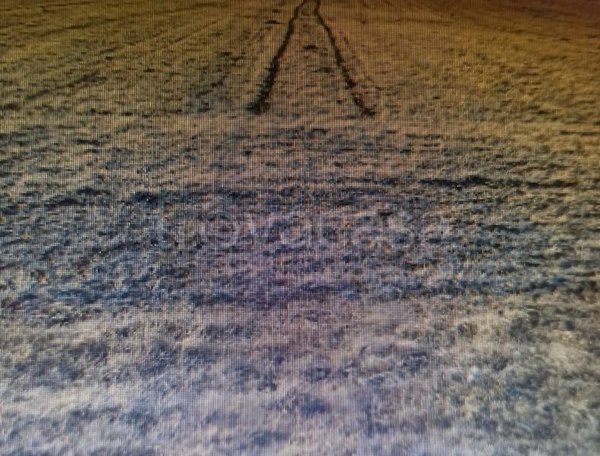 terreno agricolo in vendita a Sant'Elpidio a Mare