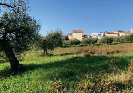 terreno agricolo in vendita a Sant'Elpidio a Mare