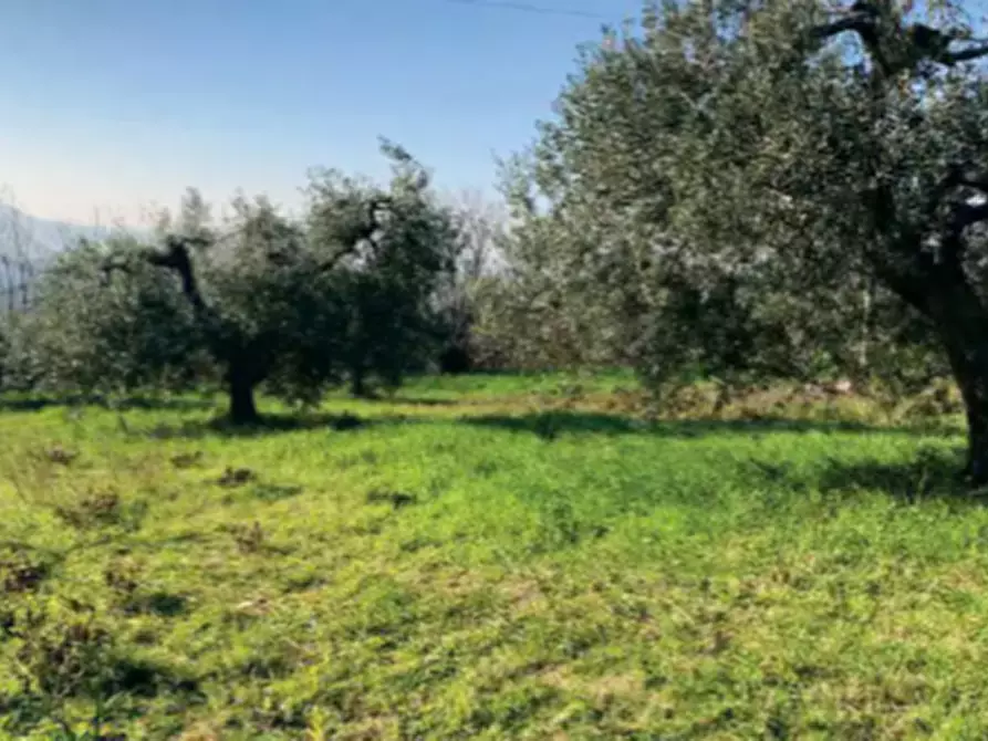 terreno agricolo in vendita a Sant'Elpidio a Mare
