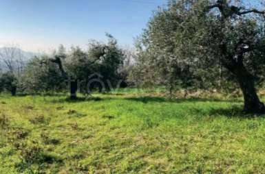 monolocale in vendita a Sant'Elpidio a Mare