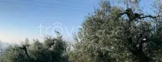 monolocale in vendita a Sant'Elpidio a Mare