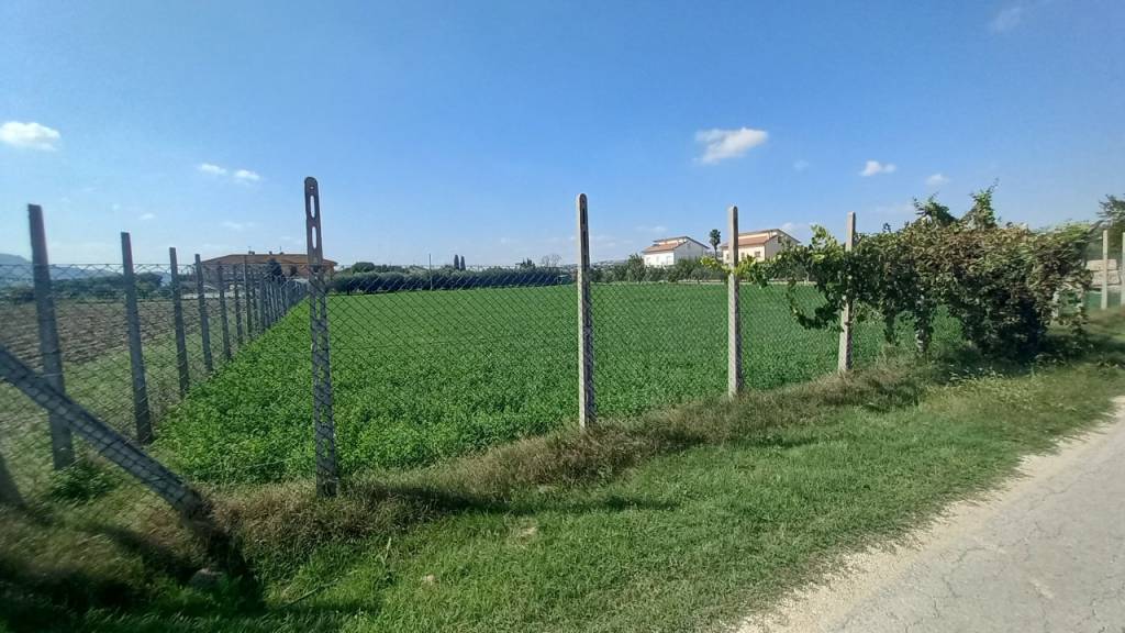 terreno agricolo in vendita a Sant'Elpidio a Mare in zona Cretarola