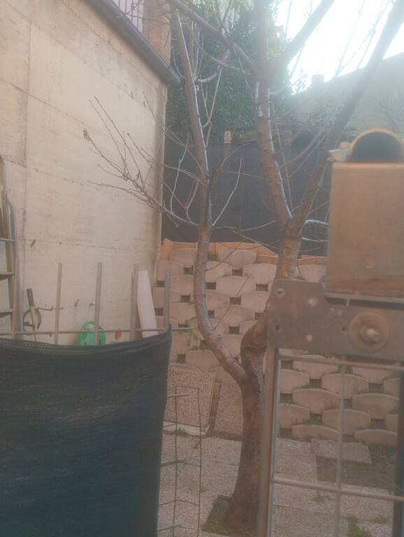 casa indipendente in vendita a Sant'Elpidio a Mare