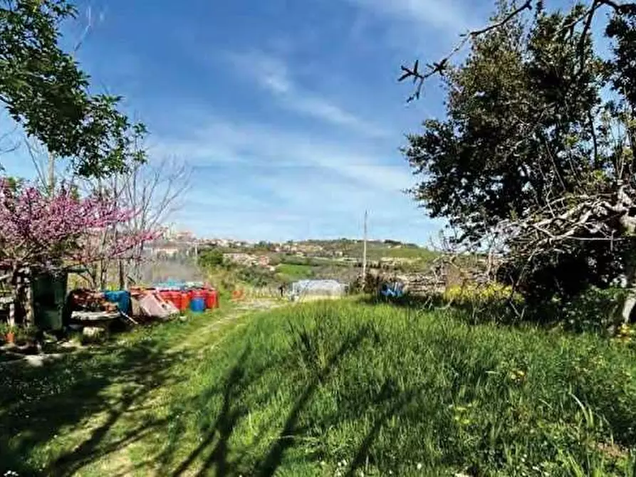 terreno agricolo in vendita a Sant'Elpidio a Mare