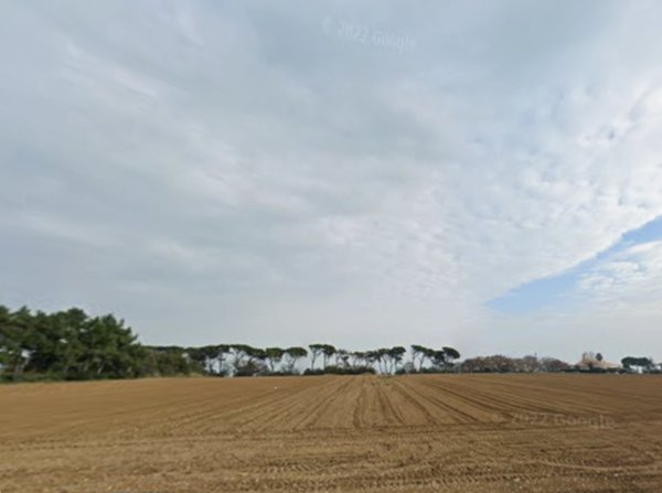 terreno agricolo in vendita a Sant'Elpidio a Mare