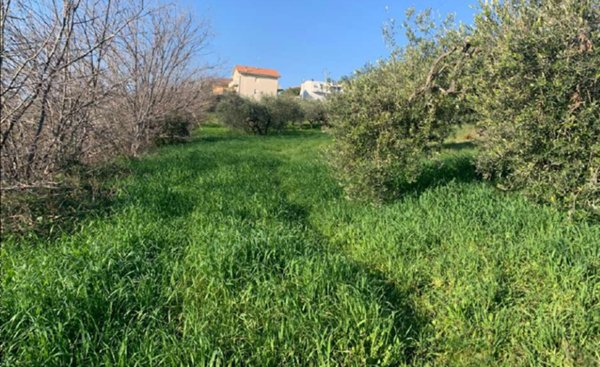 terreno agricolo in vendita a Sant'Elpidio a Mare