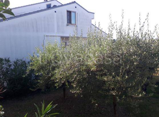 casa indipendente in vendita a Sant'Elpidio a Mare