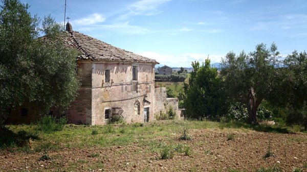esavano in vendita a Sant'Elpidio a Mare in zona Castellano