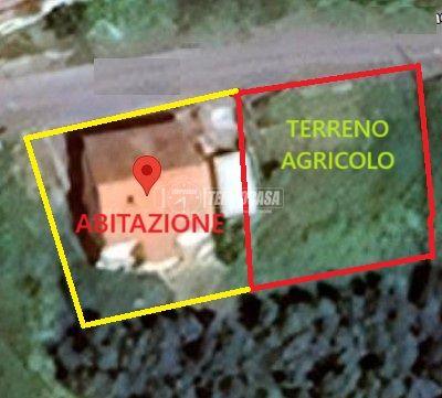casa indipendente in vendita a Sant'Elpidio a Mare