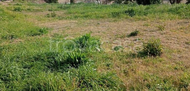 terreno agricolo in vendita a Sant'Elpidio a Mare