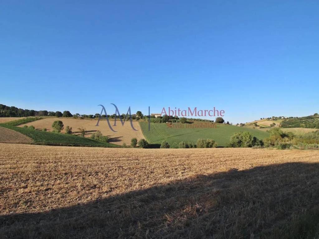 terreno agricolo in vendita a Servigliano