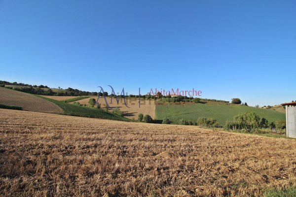 terreno agricolo in vendita a Servigliano
