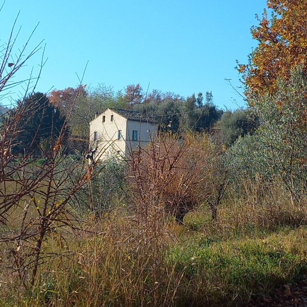 casa indipendente in vendita a Servigliano