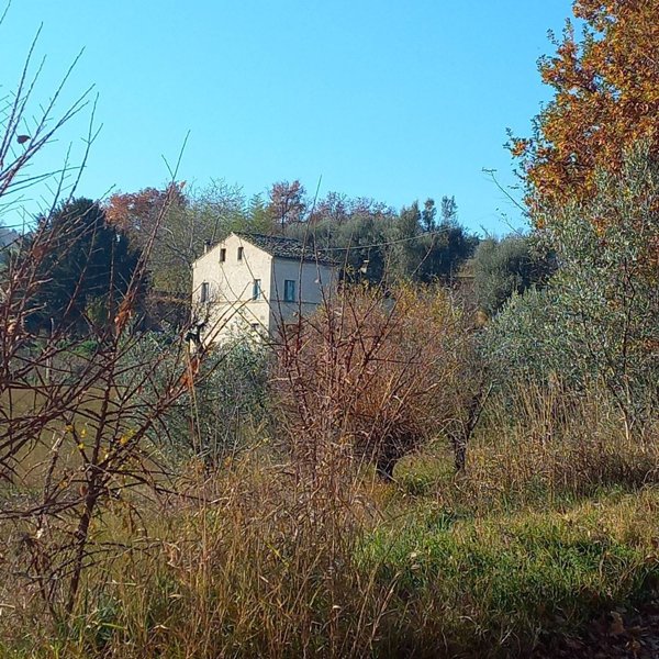 casa indipendente in vendita a Servigliano
