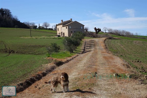 casa indipendente in vendita a Torre San Patrizio