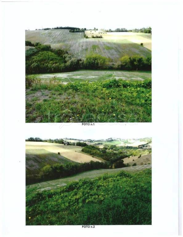 terreno agricolo in vendita a Torre San Patrizio
