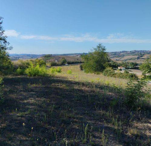 terreno agricolo in vendita a Torre San Patrizio