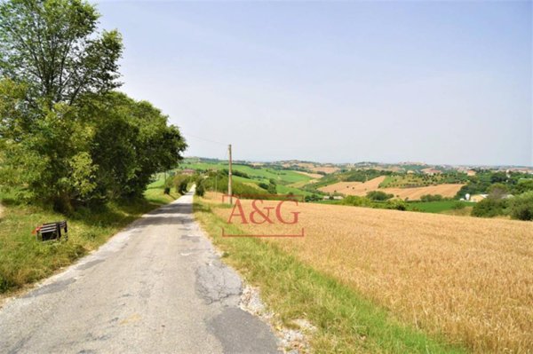 terreno agricolo in vendita a Torre San Patrizio