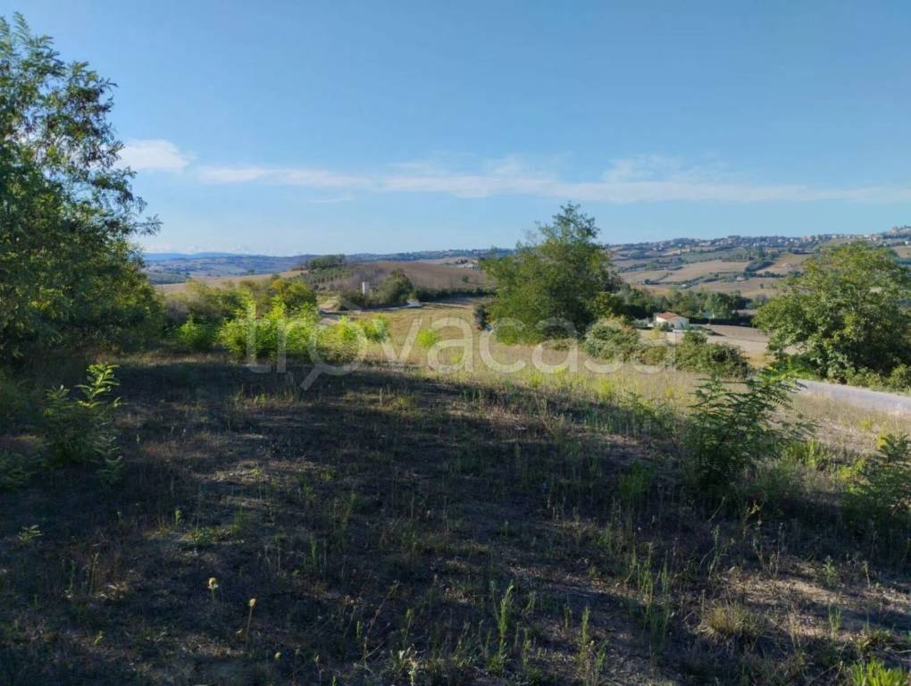 terreno agricolo in vendita a Torre San Patrizio
