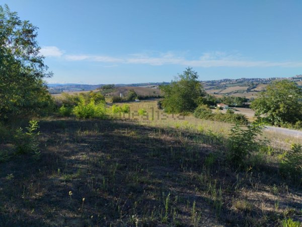 terreno agricolo in vendita a Torre San Patrizio