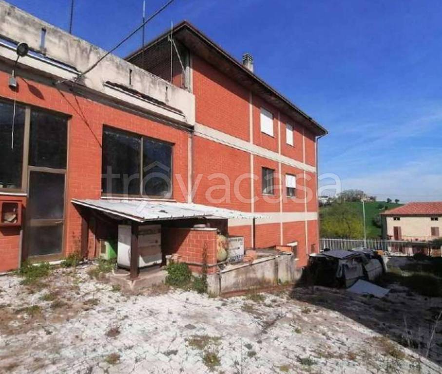 negozio in vendita a Torre San Patrizio