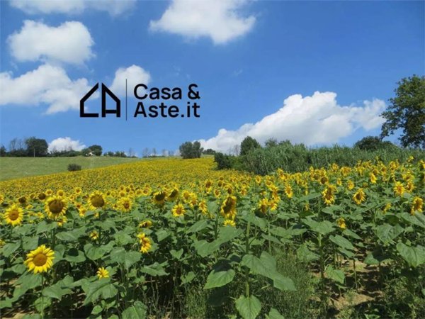 terreno agricolo in vendita a Torre San Patrizio